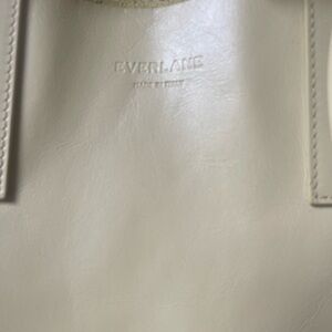 Everlane side bag